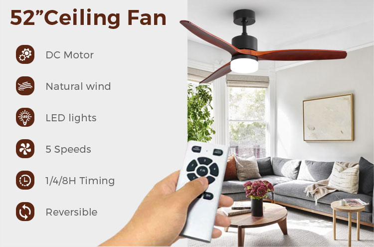 ceiling fan with light